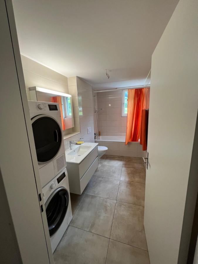 Great New Apartment Surrounded By Nature. Schattdorf Luaran gambar