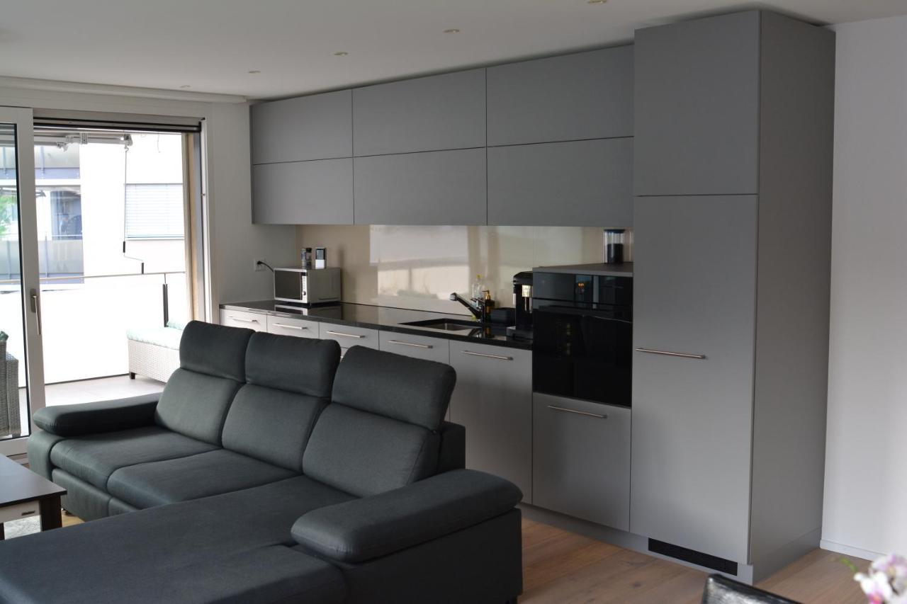 Great New Apartment Surrounded By Nature. Schattdorf Luaran gambar