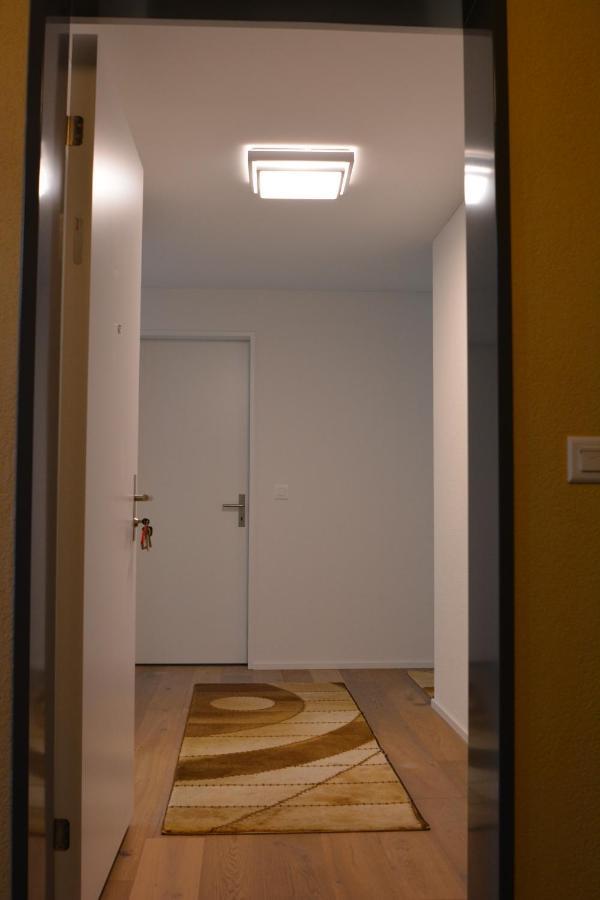 Great New Apartment Surrounded By Nature. Schattdorf Luaran gambar